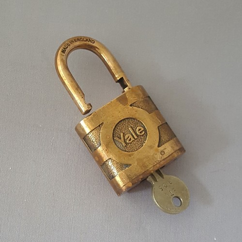 Kleines bronze yale - bronze,